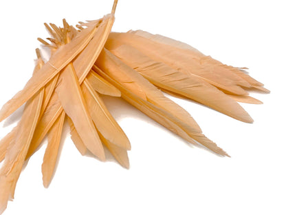 50 oz - Champagne Pack Primary Wing Accent Feathers for Wedding Centerpieces