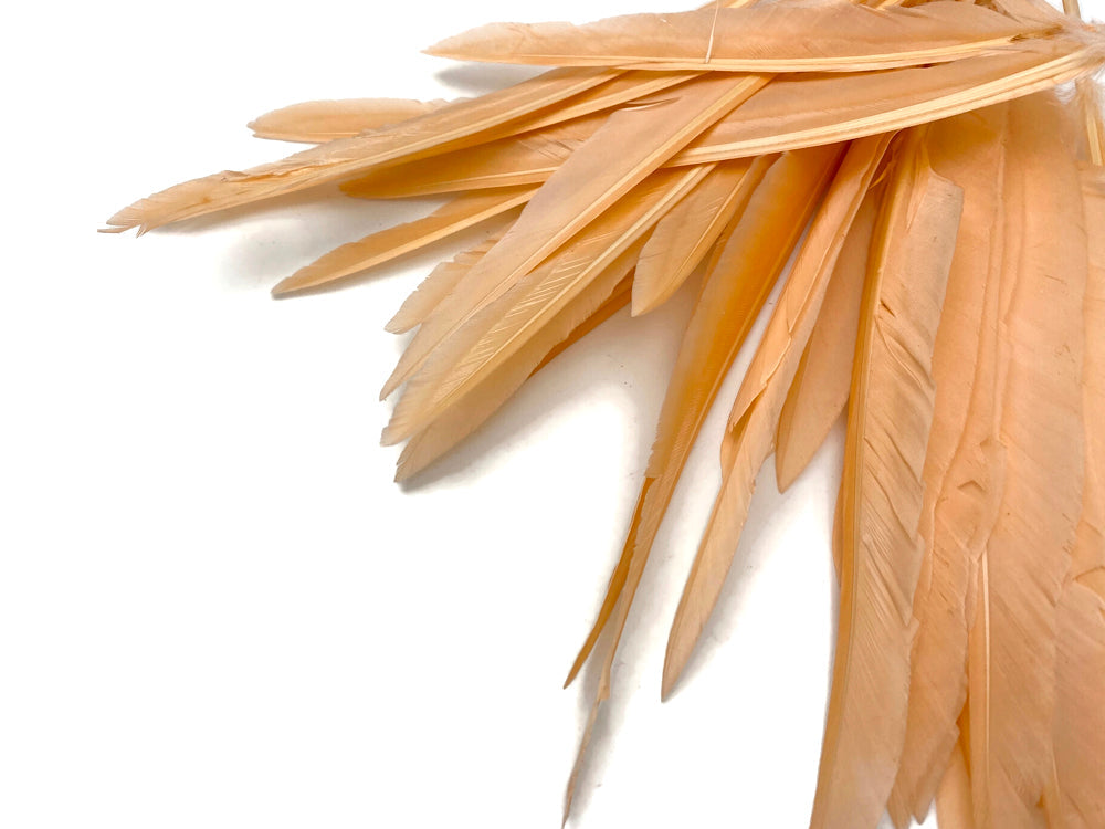 50 oz - Champagne Pack Primary Wing Accent Feathers for Wedding Centerpieces