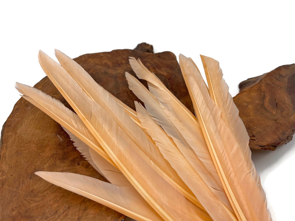50 oz - Champagne Pack Primary Wing Accent Feathers for Wedding Centerpieces