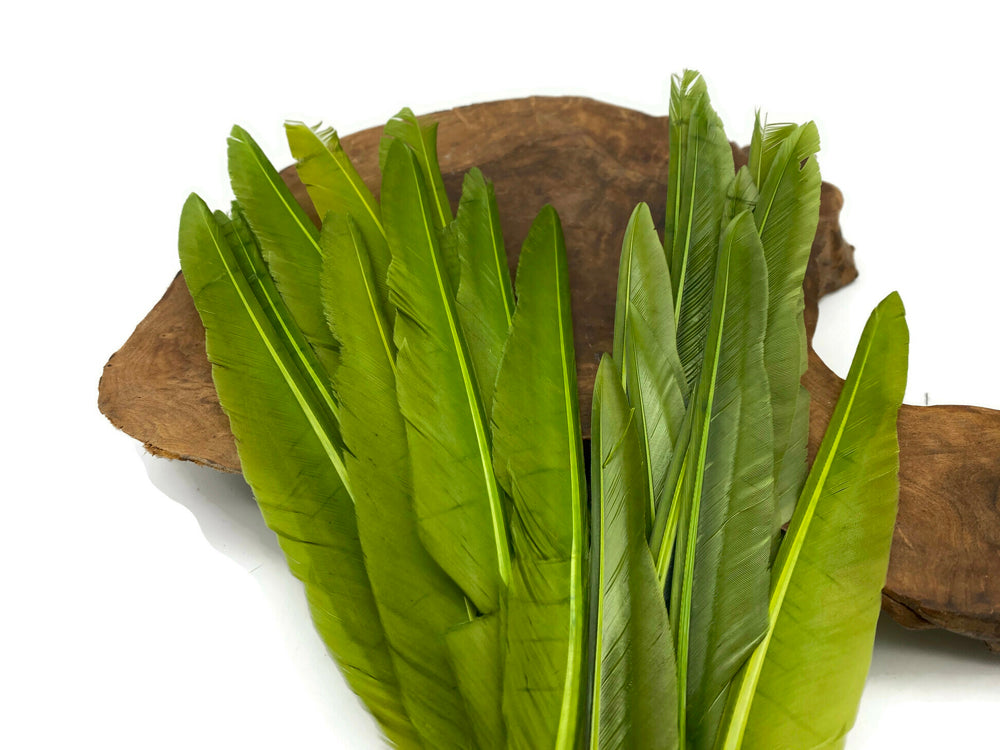 A quarter pound - Green Olive Pointer Primary Accent Feathers for Wedding Backdrops & Arches
