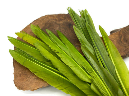 A quarter pound - Green Olive Pointer Primary Accent Feathers for Wedding Backdrops & Arches