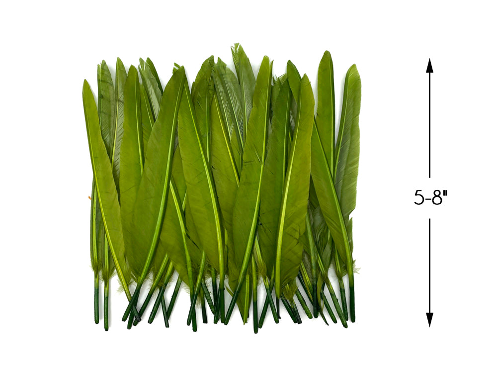 A quarter pound - Green Olive Pointer Primary Accent Feathers for Wedding Backdrops & Arches