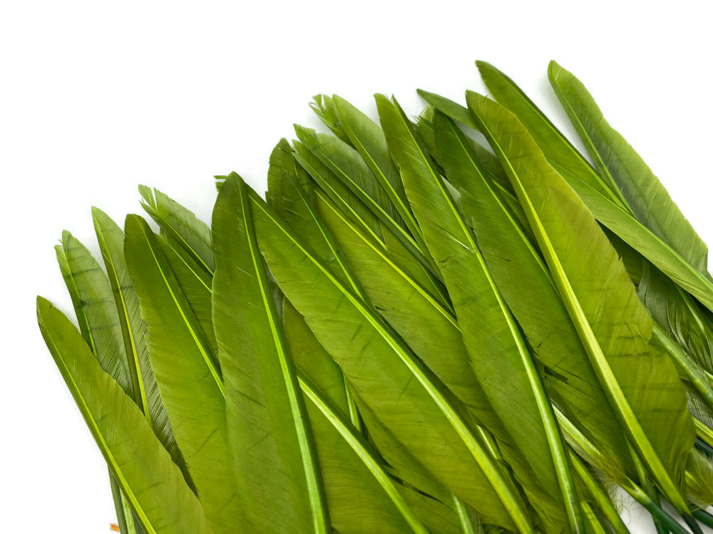A quarter pound - Green Olive Pointer Primary Accent Feathers for Wedding Backdrops & Arches