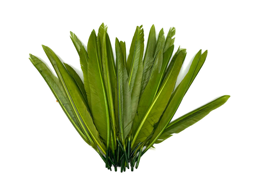 50 oz - Green Pack Olive Primary Accent Feathers for Wedding Centerpieces