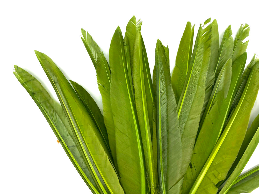 A quarter pound - Green Olive Pointer Primary Accent Feathers for Wedding Backdrops & Arches