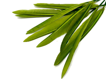 50 oz - Green Pack Olive Primary Accent Feathers for Wedding Centerpieces