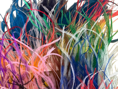 Collection Mix Random Ostrich Feathers for Wedding Backdrops & Arches