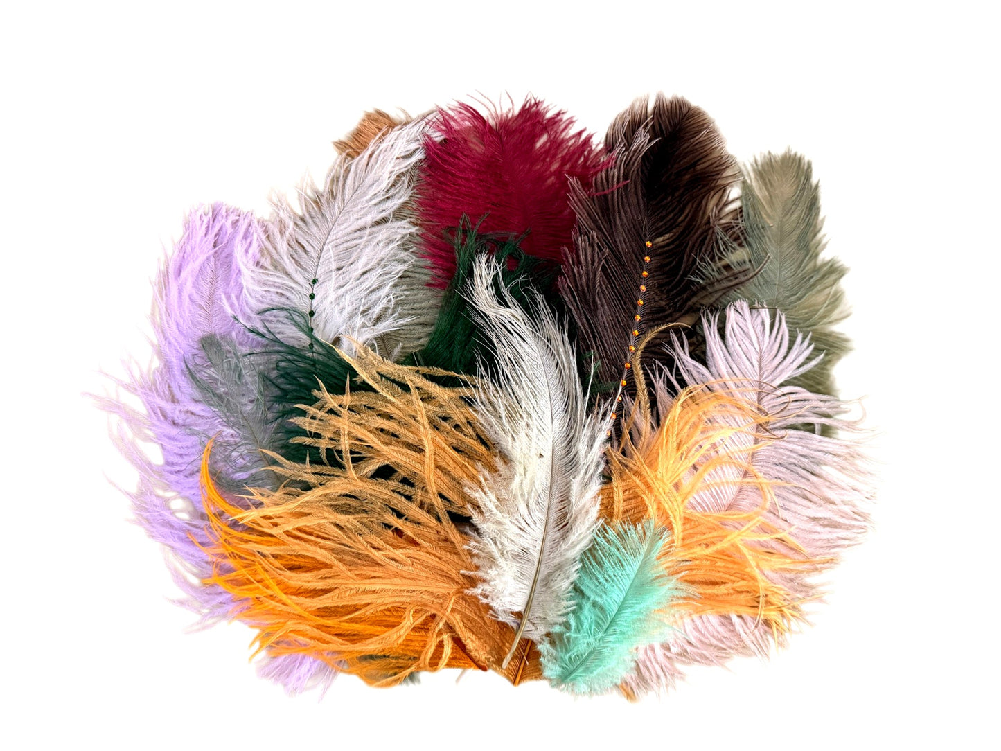Collection Mix Random Accent Feathers for Wedding Backdrops & Arches