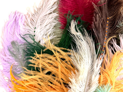Collection Mix Random Accent Feathers for Wedding Backdrops & Arches