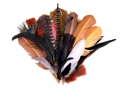 Collection Mix Random Accent Feathers for Wedding Backdrops & Arches