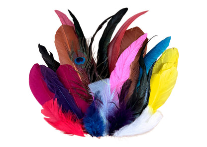 Collection Mix Random Accent Feathers for Wedding Backdrops & Arches