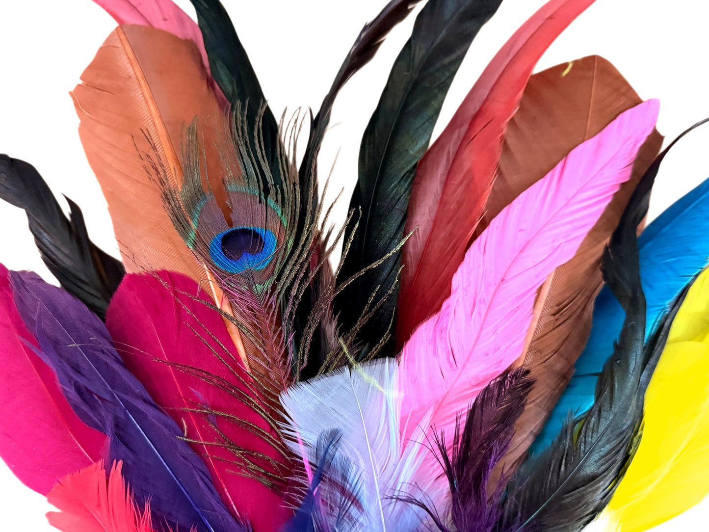 Collection Mix Random Accent Feathers for Wedding Backdrops & Arches