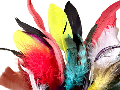 Collection Mix Random Accent Feathers for Wedding Backdrops & Arches
