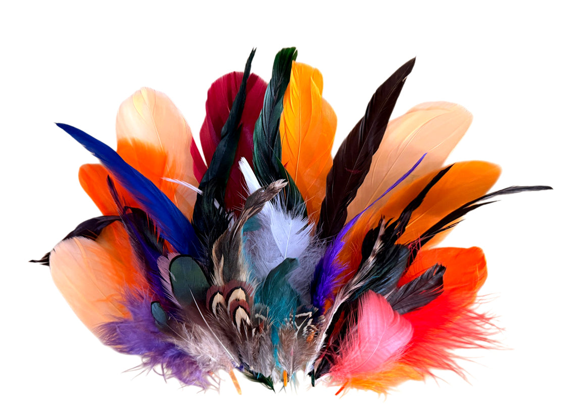 Collection Mix Random Accent Feathers for Wedding Backdrops & Arches