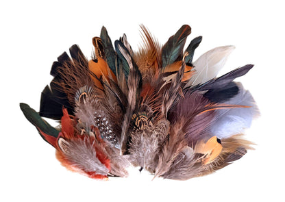 Collection Mix Random Accent Feathers for Wedding Backdrops & Arches