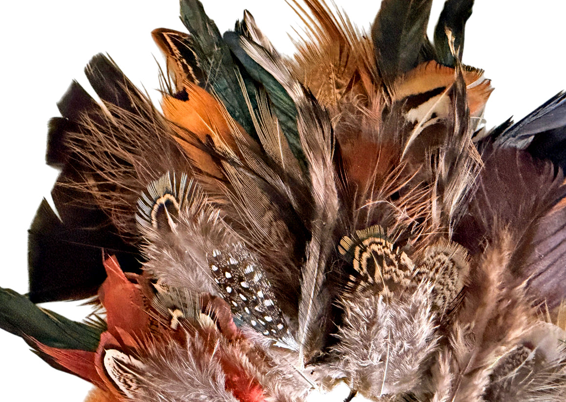 Collection Mix Random Accent Feathers for Wedding Backdrops & Arches