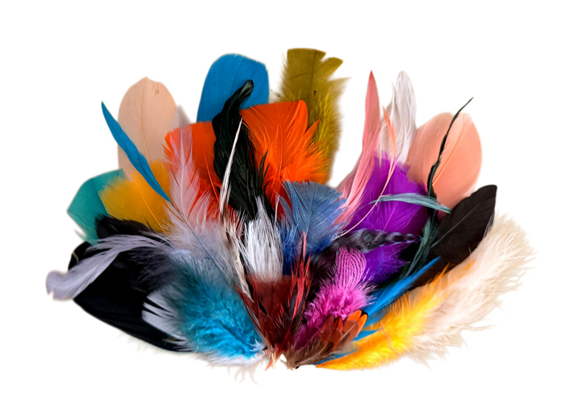 Collection Mix Random Accent Feathers for Wedding Backdrops & Arches
