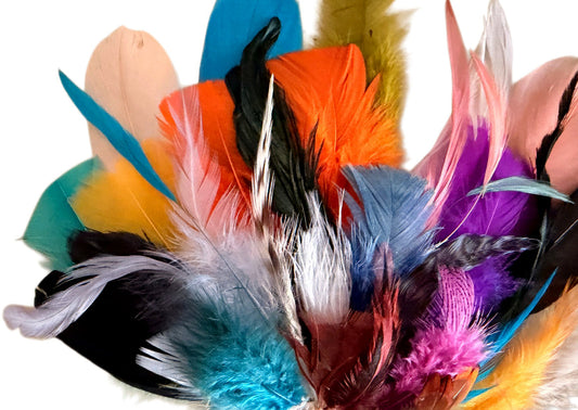 Collection Mix Random Accent Feathers for Wedding Backdrops & Arches