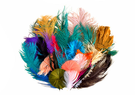 Collection Mix Random Accent Feathers for Wedding Backdrops & Arches