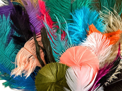 Collection Mix Random Accent Feathers for Wedding Backdrops & Arches