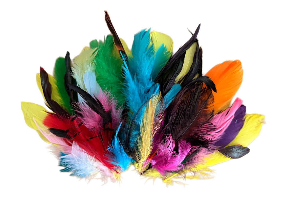 Collection Mix Random Accent Feathers for Wedding Backdrops & Arches