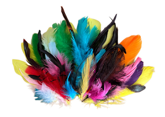 Collection Mix Random Accent Feathers for Wedding Backdrops & Arches