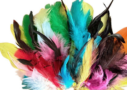 Collection Mix Random Accent Feathers for Wedding Backdrops & Arches