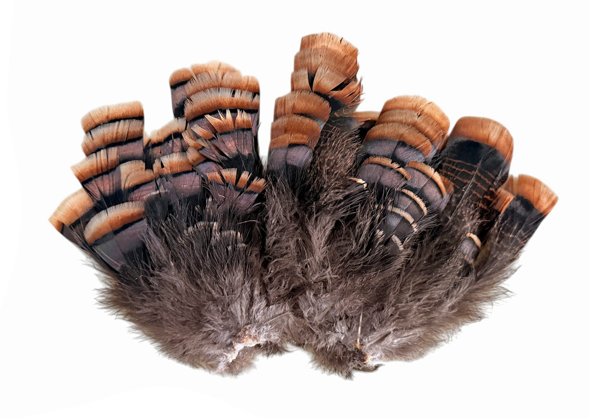 Natural Brown Bronze Merriam Accent Feathers for Wedding Favors & Decor