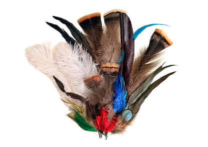 Collection Mix Random Accent Feathers for Wedding Backdrops & Arches