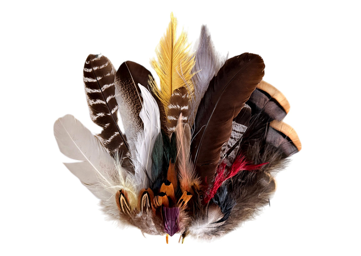 Collection Mix Random Accent Feathers for Wedding Backdrops & Arches