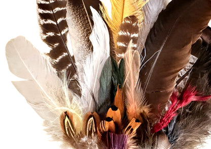Collection Mix Random Accent Feathers for Wedding Backdrops & Arches