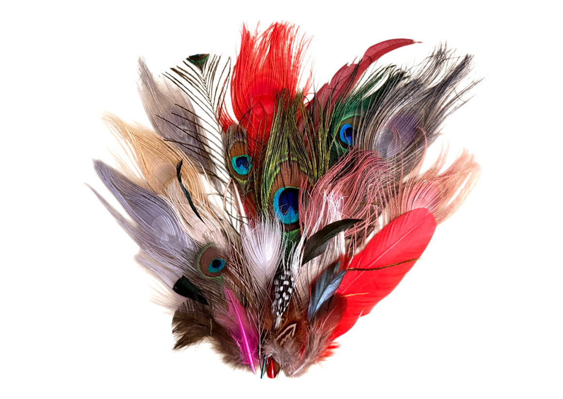 Collection Mix Random Accent Feathers for Wedding Backdrops & Arches