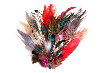 Collection Mix Random Accent Feathers for Wedding Backdrops & Arches