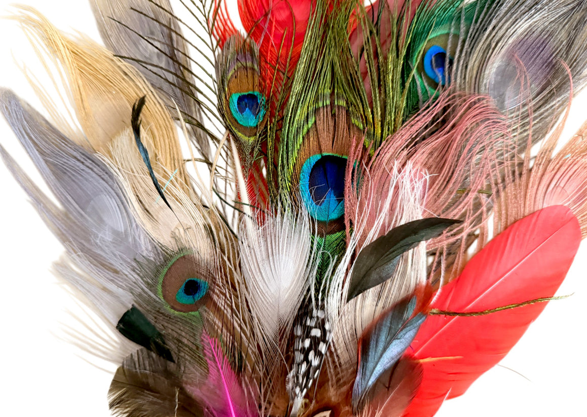 Collection Mix Random Accent Feathers for Wedding Backdrops & Arches
