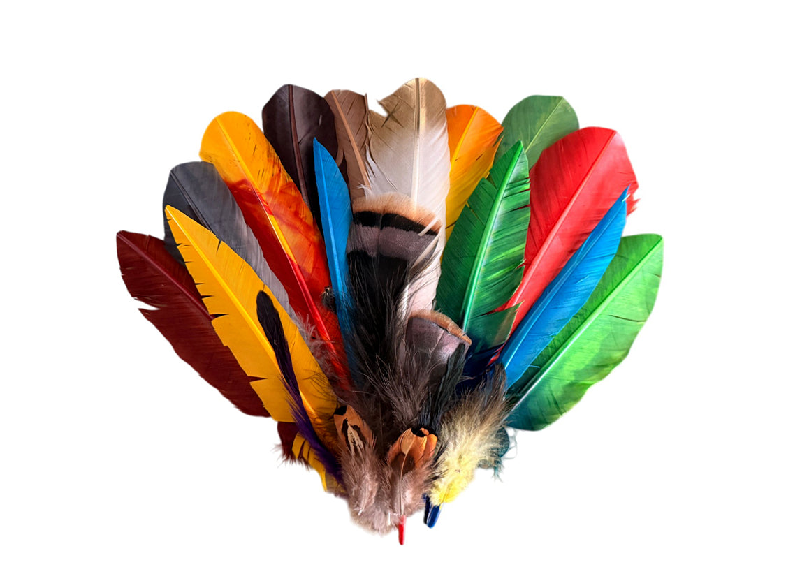 Collection Mix Random Accent Feathers for Wedding Backdrops & Arches