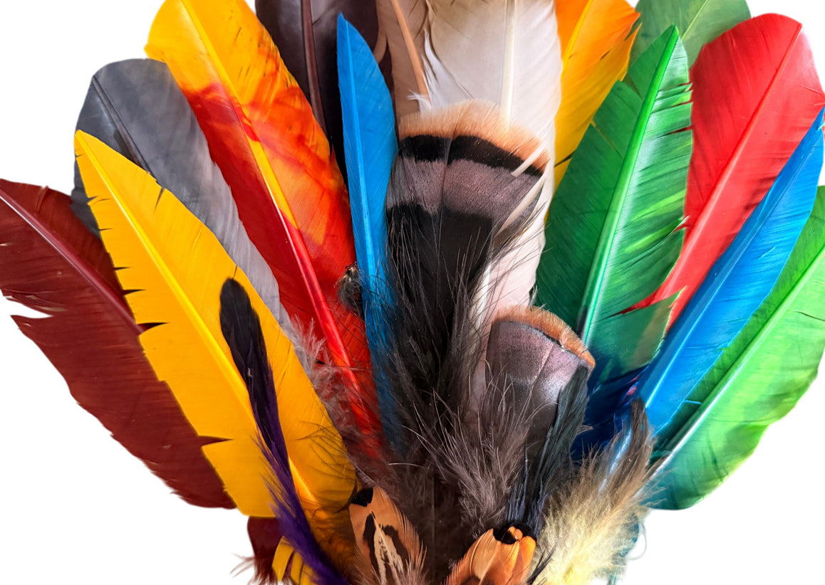 Collection Mix Random Accent Feathers for Wedding Backdrops & Arches