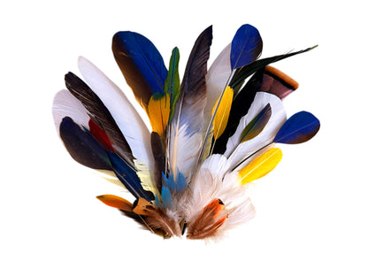 Collection Mix Random Accent Feathers for Wedding Backdrops & Arches