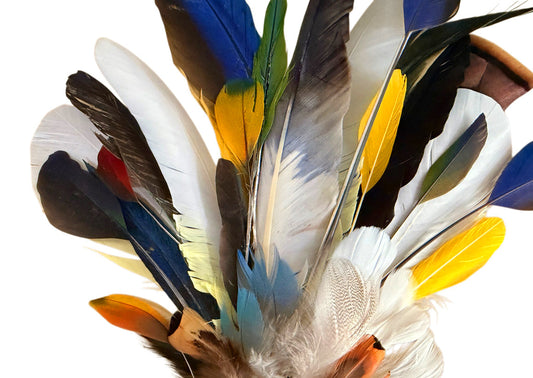 Collection Mix Random Accent Feathers for Wedding Backdrops & Arches