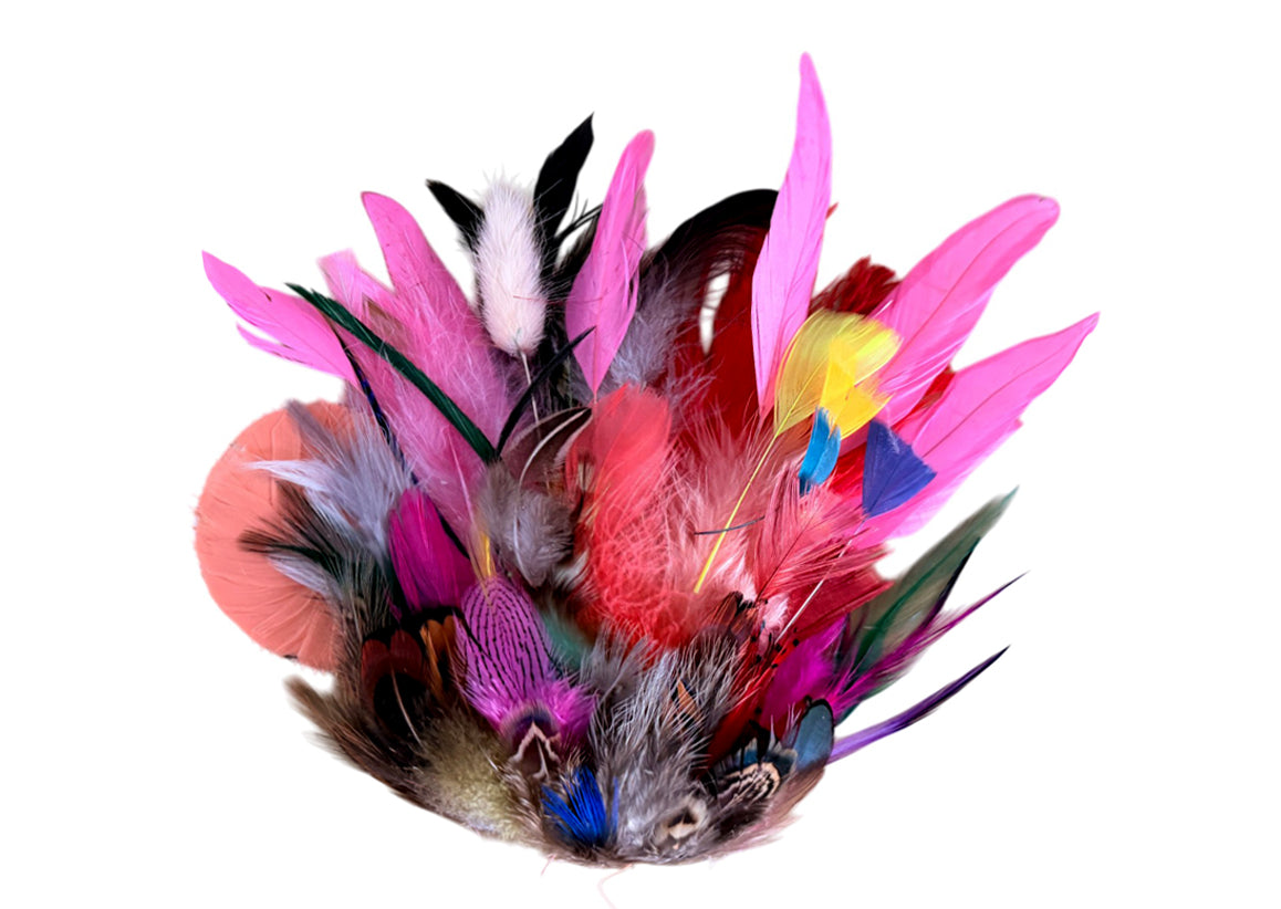 Collection Mix Random Accent Feathers for Wedding Backdrops & Arches
