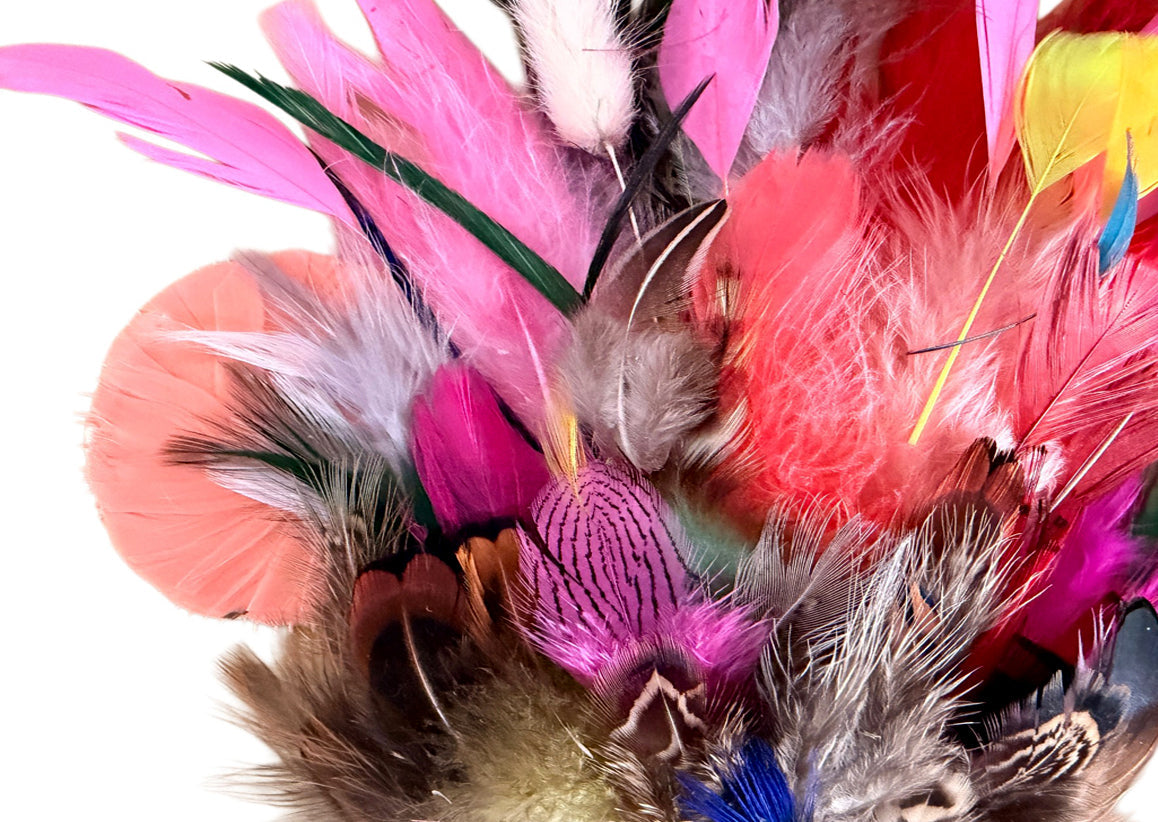 Collection Mix Random Accent Feathers for Wedding Backdrops & Arches