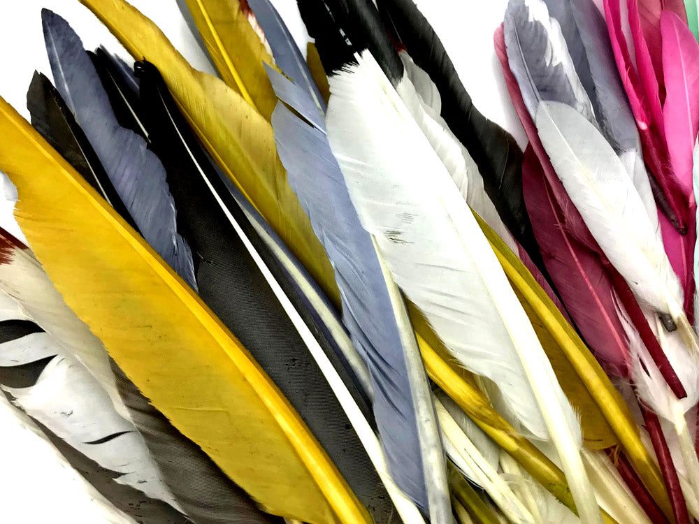 A quarter pound - Brown Pointer Primary Wing Accent Feathers for Wedding Backdrops & Arches