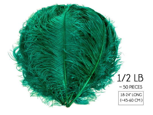 1/2 Lb. - 18-24" Teal Green Large Ostrich Wing Plume Wholesale Feathers (Bulk)