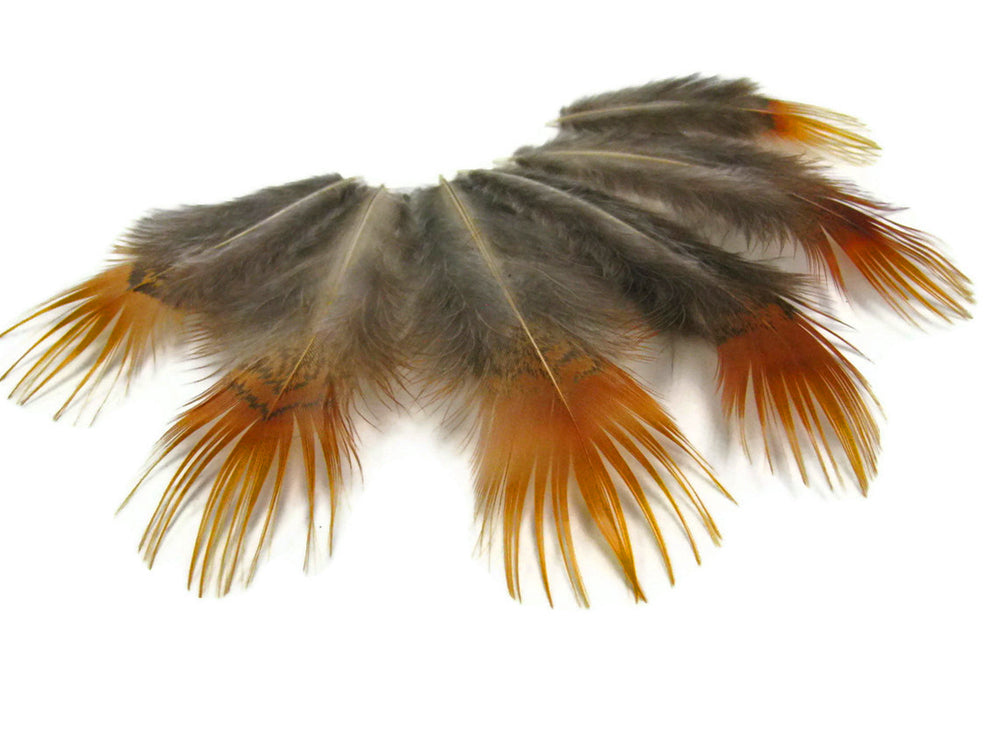 8 lb - Natural Yellow Golden Plumage Accent Feathers for Wedding Backdrops & Arches
