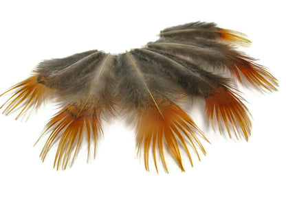 8 lb - Natural Yellow Golden Plumage Accent Feathers for Wedding Backdrops & Arches
