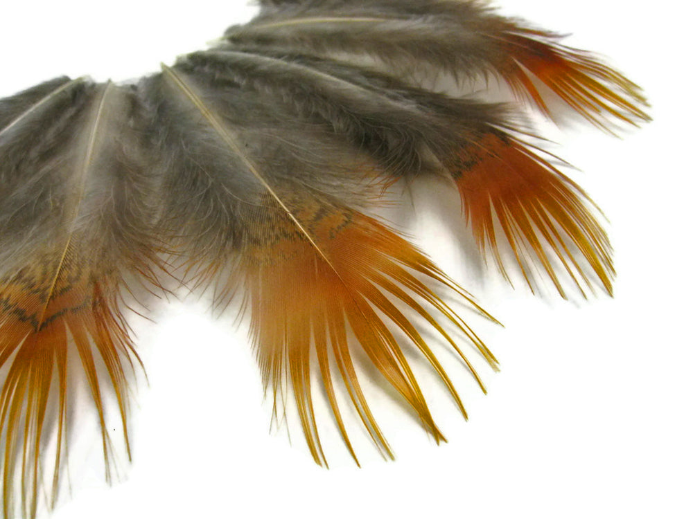 8 lb - Natural Yellow Golden Plumage Accent Feathers for Wedding Backdrops & Arches