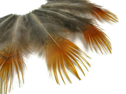 8 lb - Natural Yellow Golden Plumage Accent Feathers for Wedding Backdrops & Arches