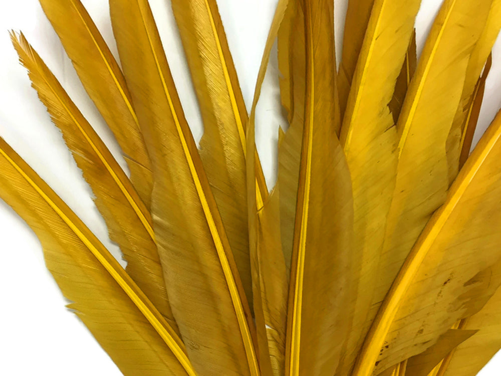 A quarter pound - Gold Antique Pointer Primary Accent Feathers for Wedding Backdrops & Arches