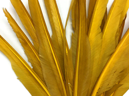 A quarter pound - Gold Antique Pointer Primary Accent Feathers for Wedding Backdrops & Arches