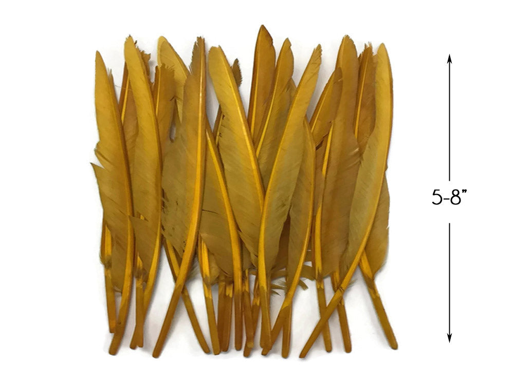 A quarter pound - Gold Antique Pointer Primary Accent Feathers for Wedding Backdrops & Arches