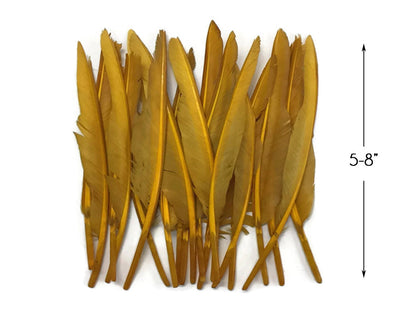 50 oz - Gold Pack Antique Primary Accent Feathers for Wedding Centerpieces